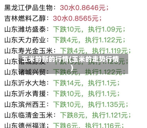 玉米的新的行情(玉米的走势行情)-第2张图片