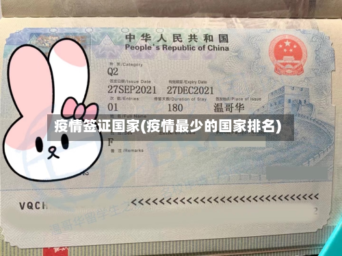 疫情签证国家(疫情最少的国家排名)