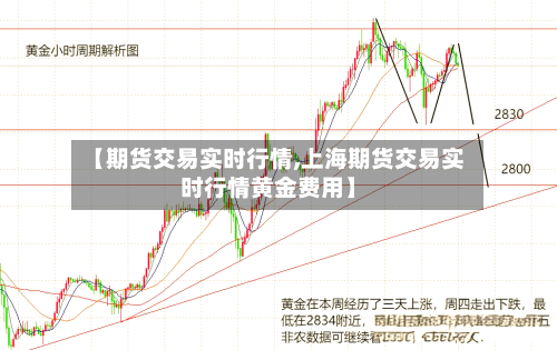 【期货交易实时行情,上海期货交易实时行情黄金费用】-第3张图片