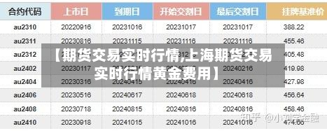 【期货交易实时行情,上海期货交易实时行情黄金费用】-第2张图片