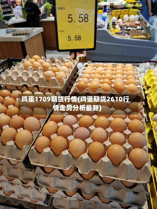 鸡蛋1709期货行情(鸡蛋期货2610行情走势分析最新)