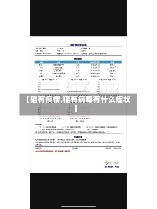 【猫有疫情,猫有病毒有什么症状】-第3张图片