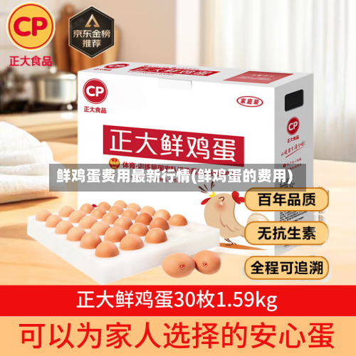 鲜鸡蛋费用最新行情(鲜鸡蛋的费用)