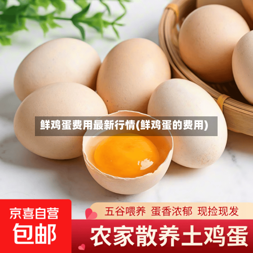 鲜鸡蛋费用最新行情(鲜鸡蛋的费用)-第2张图片