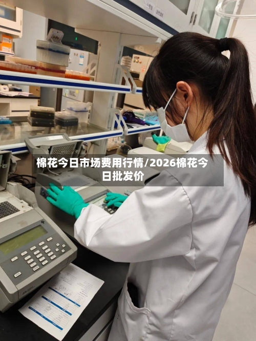 棉花今日市场费用行情/2026棉花今日批发价