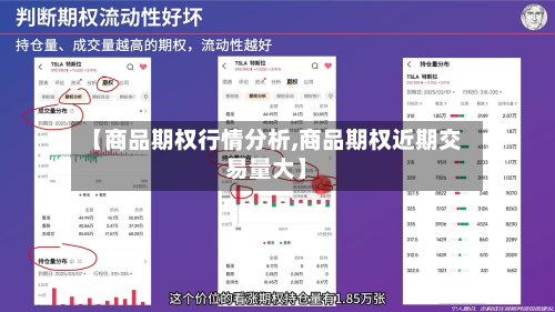 【商品期权行情分析,商品期权近期交易量大】