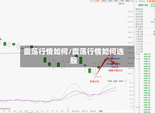震荡行情如何/震荡行情如何选股