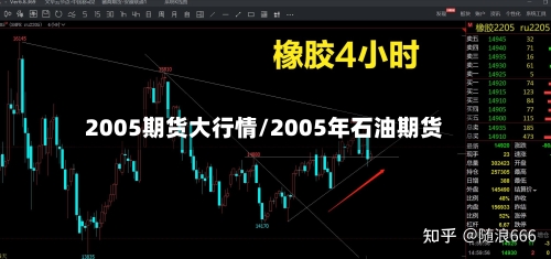 2005期货大行情/2005年石油期货