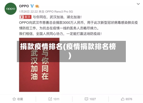 捐款疫情排名(疫情捐款排名榜)-第3张图片