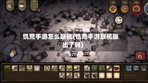 饥荒手游怎么联机(饥荒手游联机版出了吗)-第2张图片