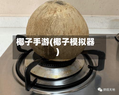 椰子手游(椰子模拟器)-第2张图片