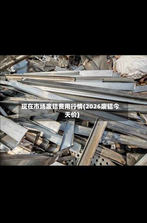 现在市场废铝费用行情(2026废铝今天价)-第3张图片