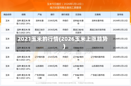 2021玉米的行情(2026玉米上涨趋势)-第2张图片