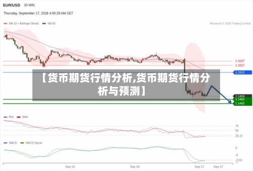 【货币期货行情分析,货币期货行情分析与预测】-第2张图片