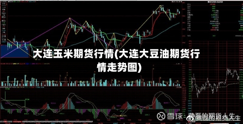 大连玉米期货行情(大连大豆油期货行情走势图)-第2张图片