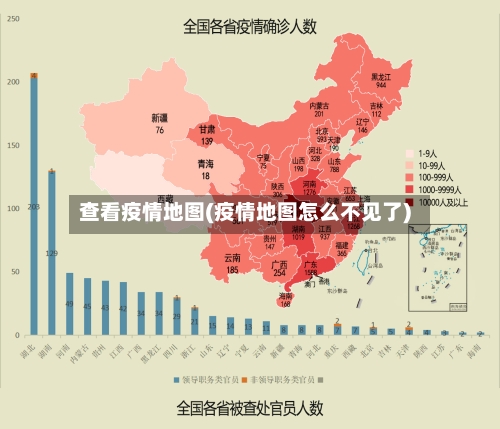 查看疫情地图(疫情地图怎么不见了)-第2张图片