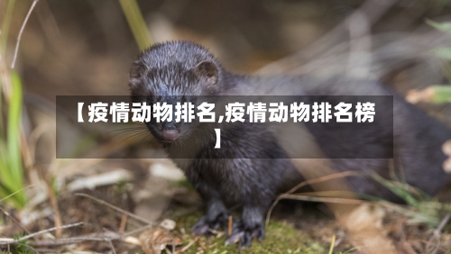 【疫情动物排名,疫情动物排名榜】-第2张图片