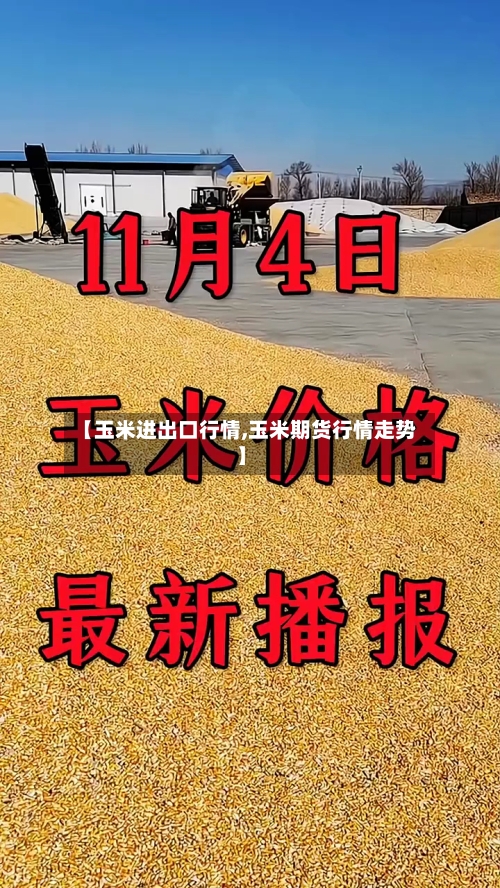 【玉米进出口行情,玉米期货行情走势】
