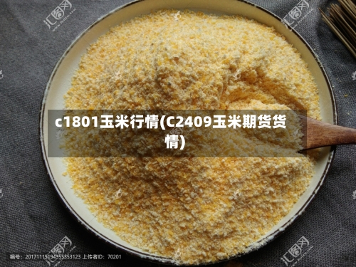c1801玉米行情(C2409玉米期货货情)
