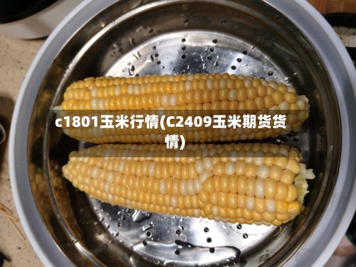 c1801玉米行情(C2409玉米期货货情)-第3张图片