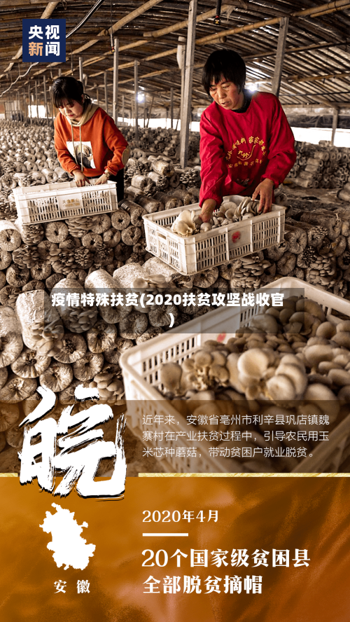 疫情特殊扶贫(2020扶贫攻坚战收官)