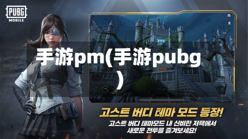 手游pm(手游pubg)-第3张图片
