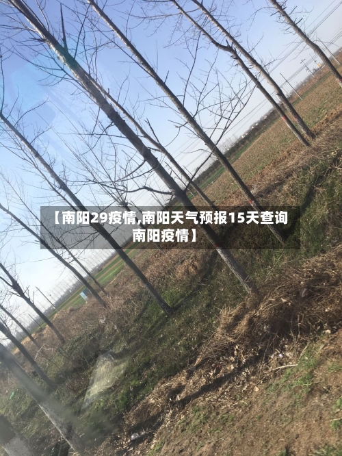【南阳29疫情,南阳天气预报15天查询南阳疫情】-第3张图片