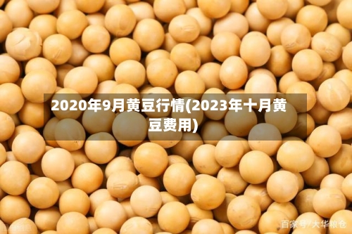 2020年9月黄豆行情(2023年十月黄豆费用)
