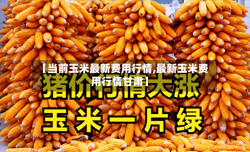 【当前玉米最新费用行情,最新玉米费用行情甘肃】