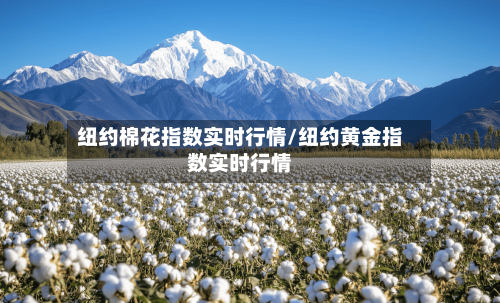 纽约棉花指数实时行情/纽约黄金指数实时行情