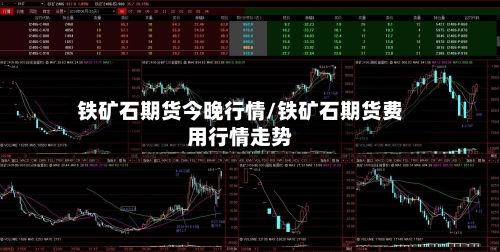 铁矿石期货今晚行情/铁矿石期货费用行情走势-第2张图片
