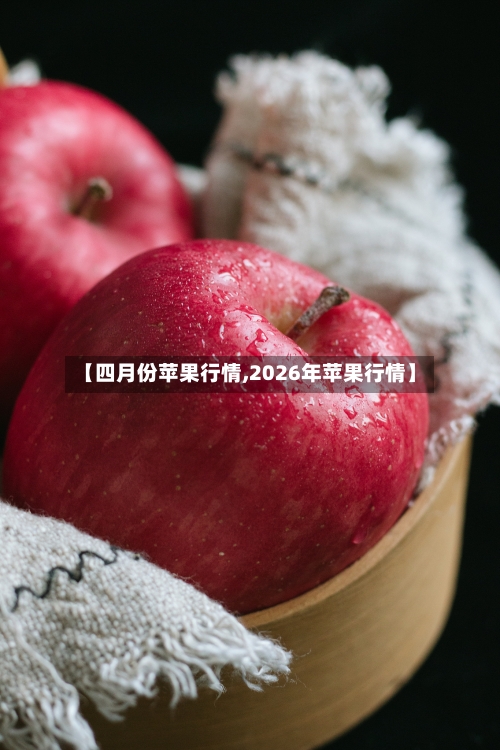 【四月份苹果行情,2026年苹果行情】