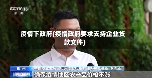 疫情下政府(疫情政府要求支持企业贷款文件)