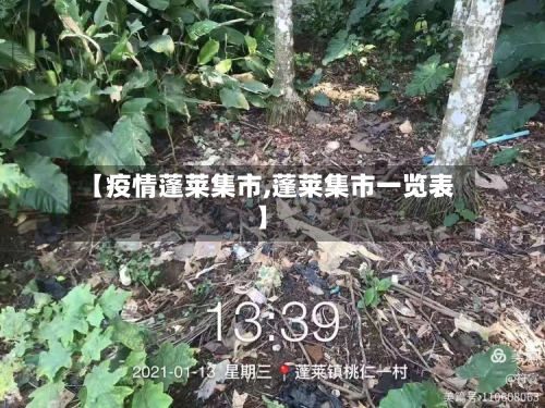 【疫情蓬莱集市,蓬莱集市一览表】