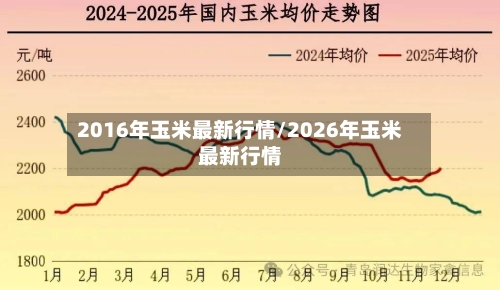 2016年玉米最新行情/2026年玉米最新行情