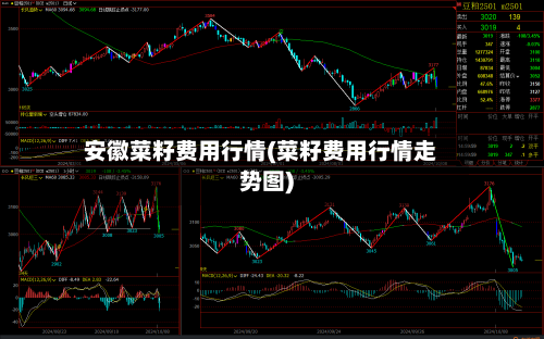 安徽菜籽费用行情(菜籽费用行情走势图)-第2张图片