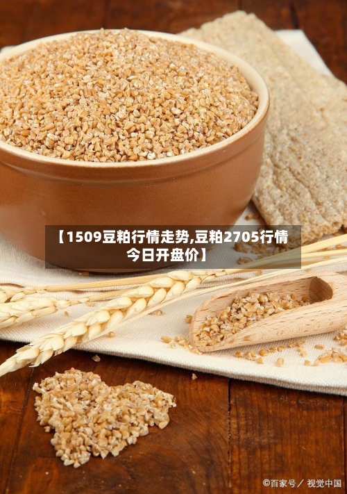 【1509豆粕行情走势,豆粕2705行情今日开盘价】