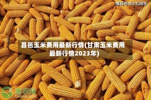 昌邑玉米费用最新行情(甘肃玉米费用最新行情2023年)-第3张图片