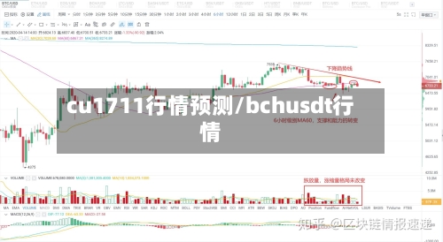 cu1711行情预测/bchusdt行情-第2张图片