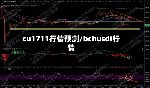 cu1711行情预测/bchusdt行情-第3张图片