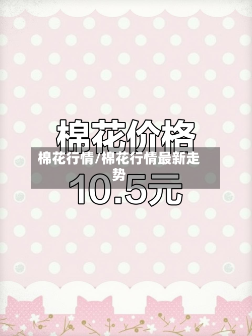 棉花行情/棉花行情最新走势