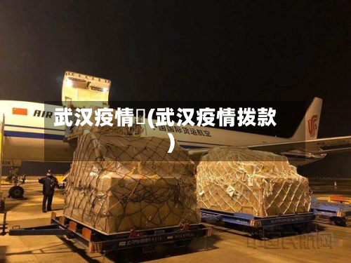 武汉疫情劵(武汉疫情拨款)
