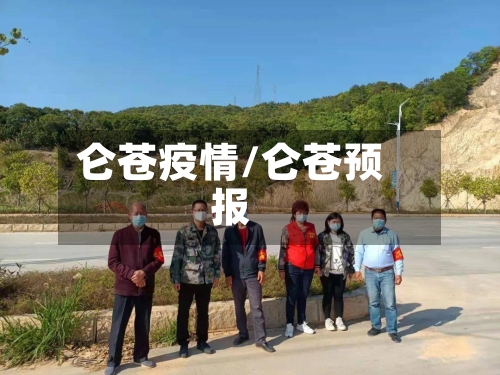 仑苍疫情/仑苍预报-第3张图片