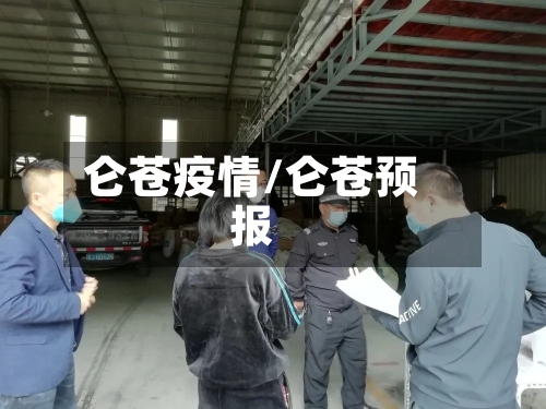 仑苍疫情/仑苍预报