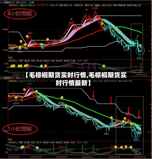 【毛棕榈期货实时行情,毛棕榈期货实时行情最新】