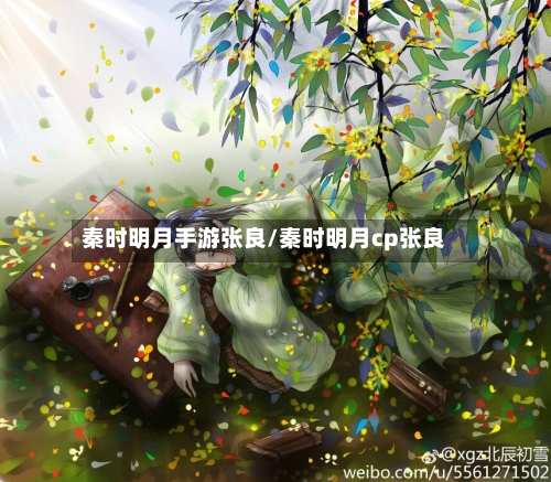秦时明月手游张良/秦时明月cp张良-第2张图片