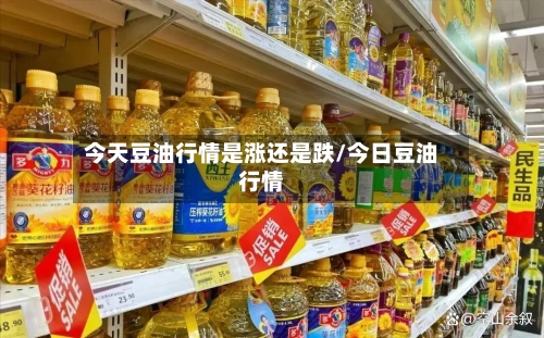 今天豆油行情是涨还是跌/今日豆油行情-第2张图片
