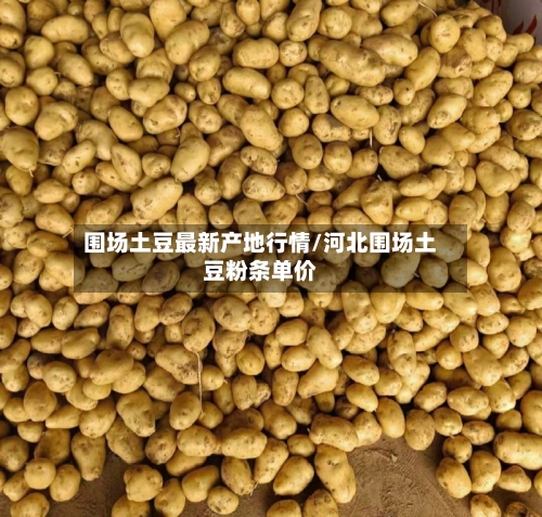 围场土豆最新产地行情/河北围场土豆粉条单价-第2张图片