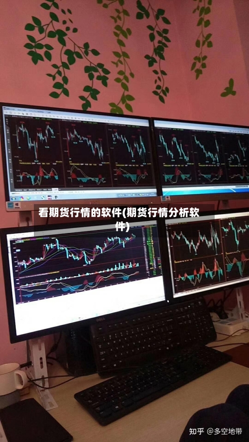 看期货行情的软件(期货行情分析软件)-第2张图片
