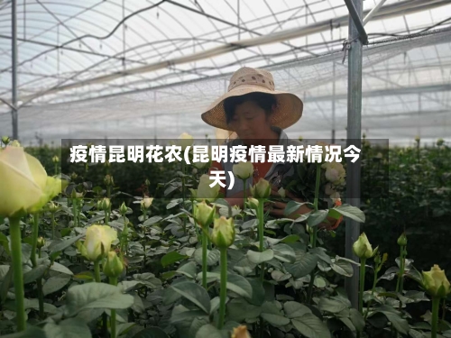 疫情昆明花农(昆明疫情最新情况今天)
